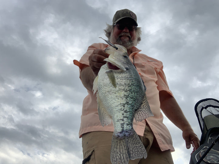 best crappie bait lil tuffy