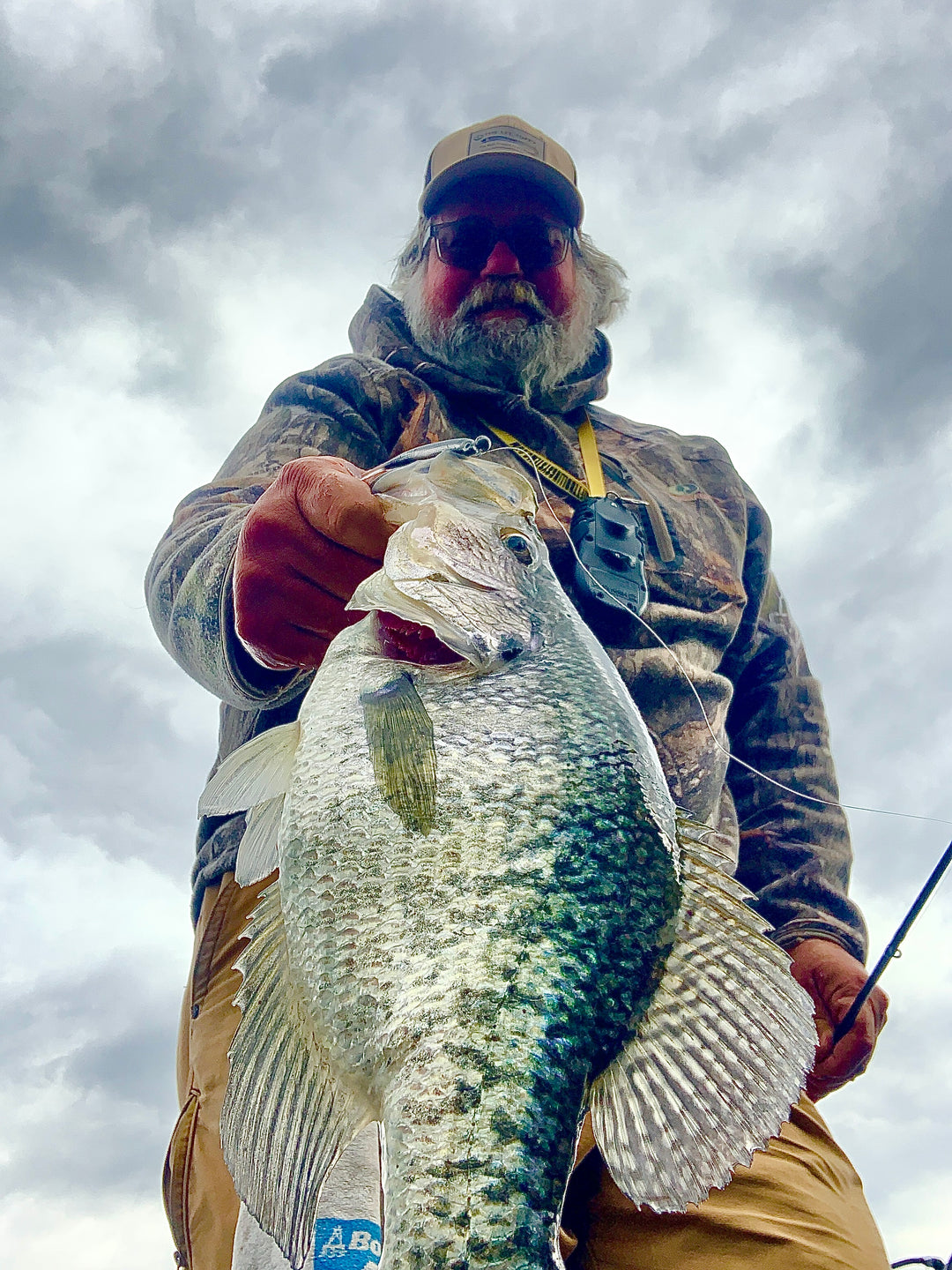 best crappie bait