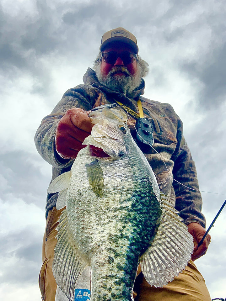 best crappie bait