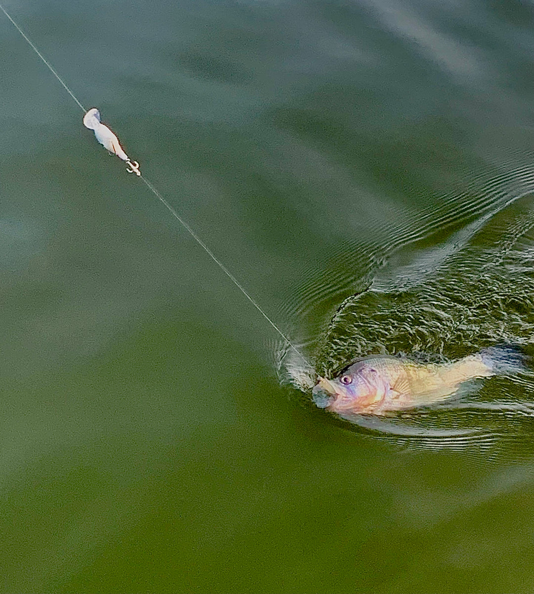 Trailer Treble Hook - Crankbait Fishing - Rambling Angler