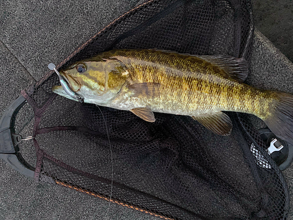 LiL TUFFY Swimbait 10 Pack