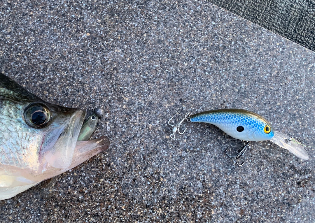 Trailer Treble Hook - Crankbait Fishing - Rambling Angler