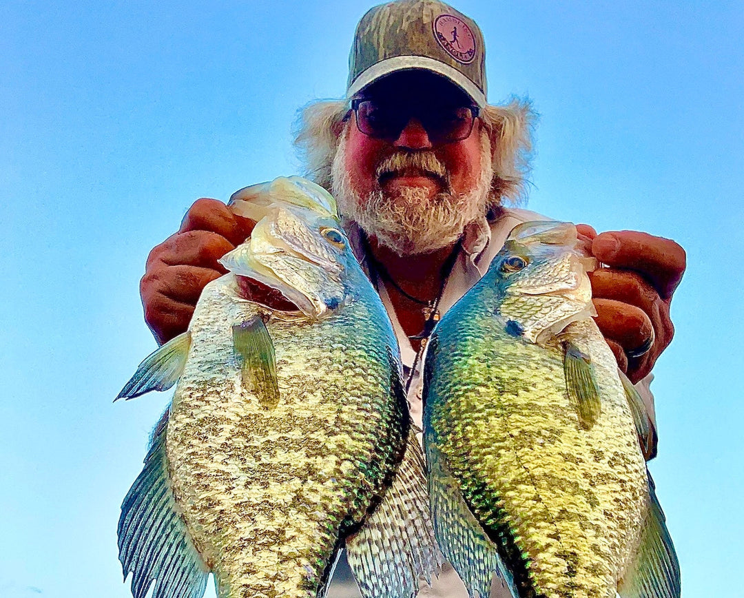 LiL TUFFY Swimbait crappie