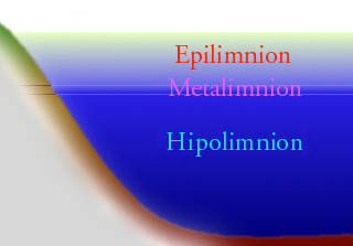 Effects on Fish During Hot Weather