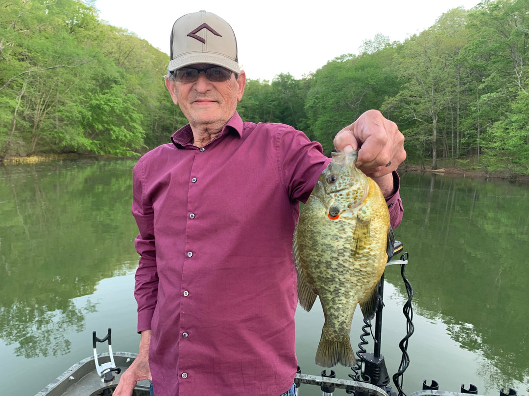 shelcracker fish kentucky lake