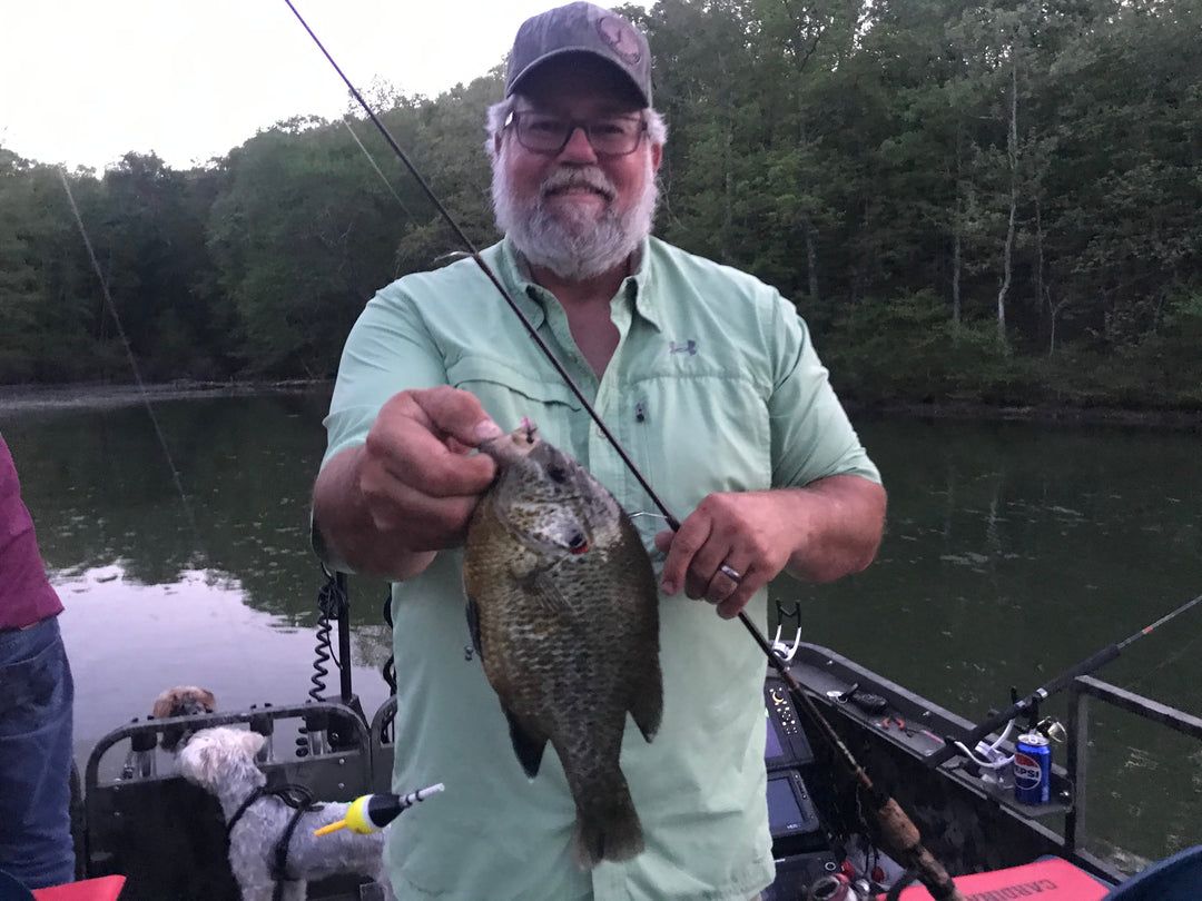 shellcracker kentucky