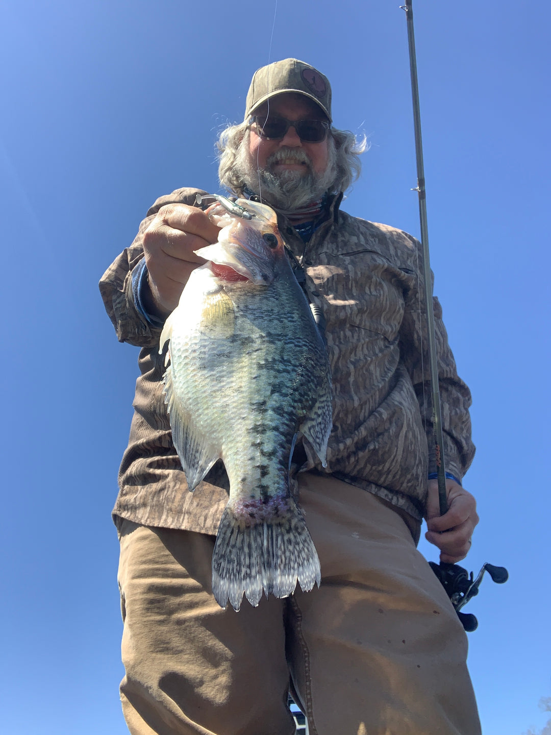 li'l tuffy swimbait for crappie fishing