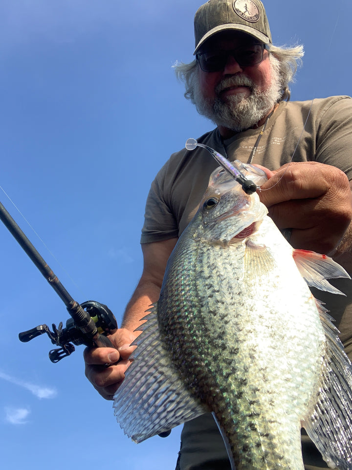 crappie caught on li'l tuffy swimbait for crappie fishing