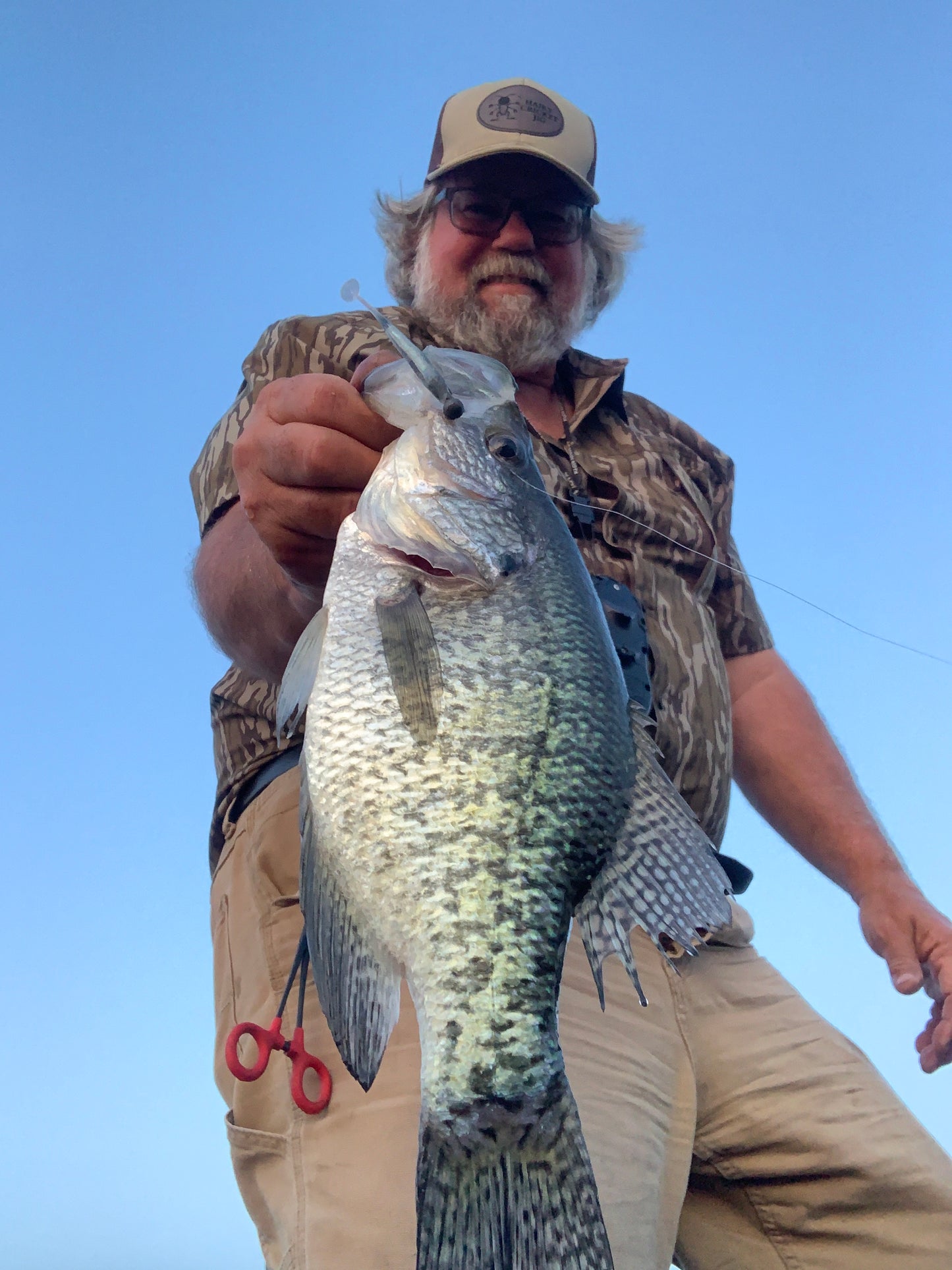 nice crappie caught with li'l tuffy swimbait for crappie fishing