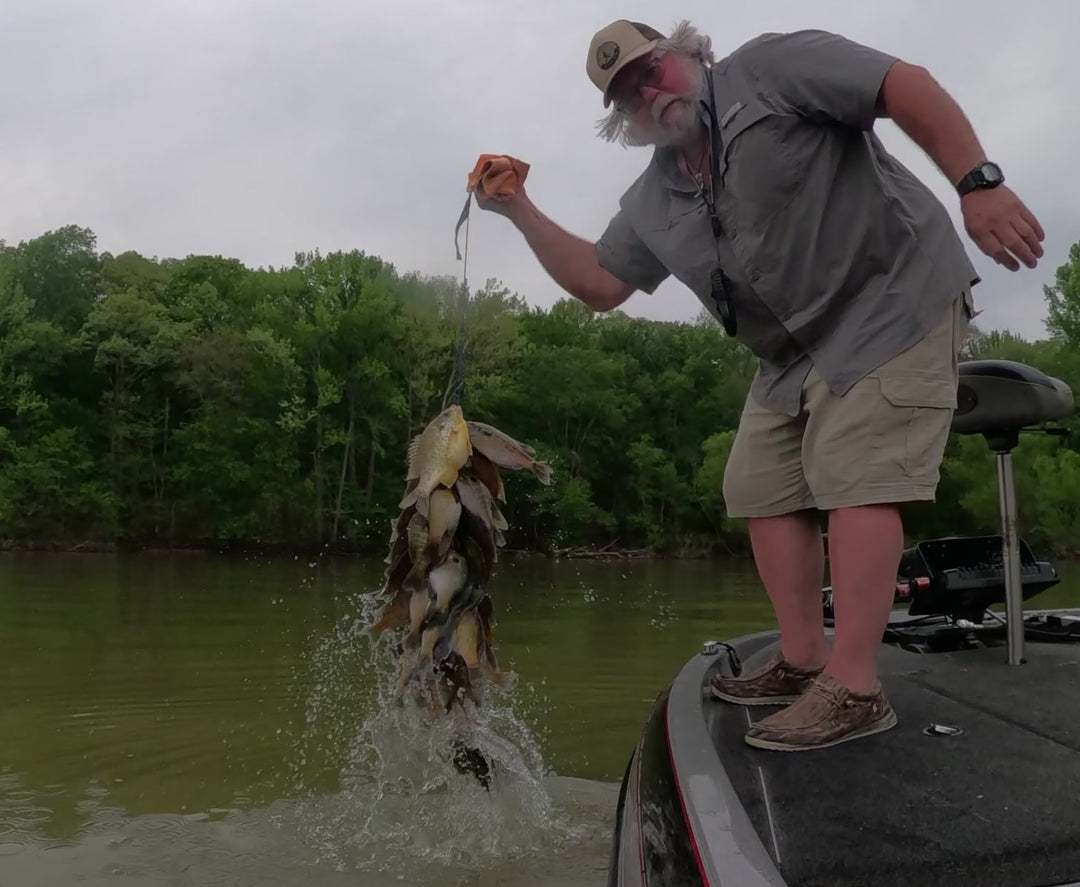 Slab Dragon Panfish and Trout Bait