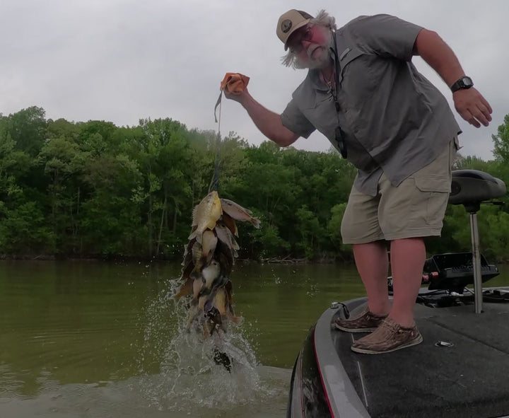 Slab Dragon Panfish and Trout Bait