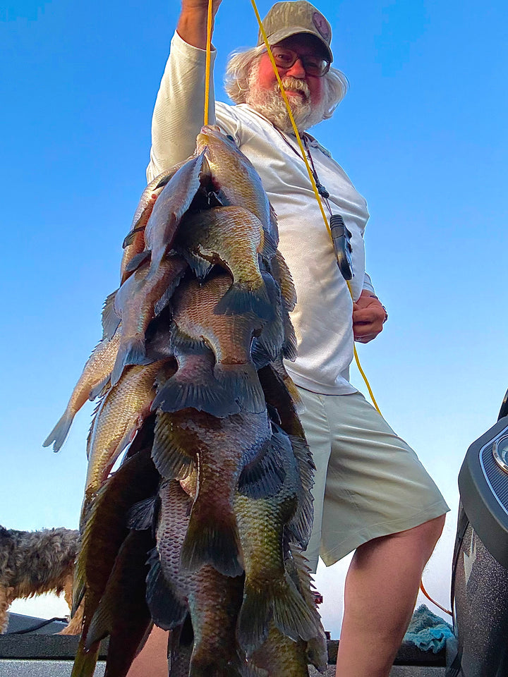 Slab Dragon Panfish and Trout Bait