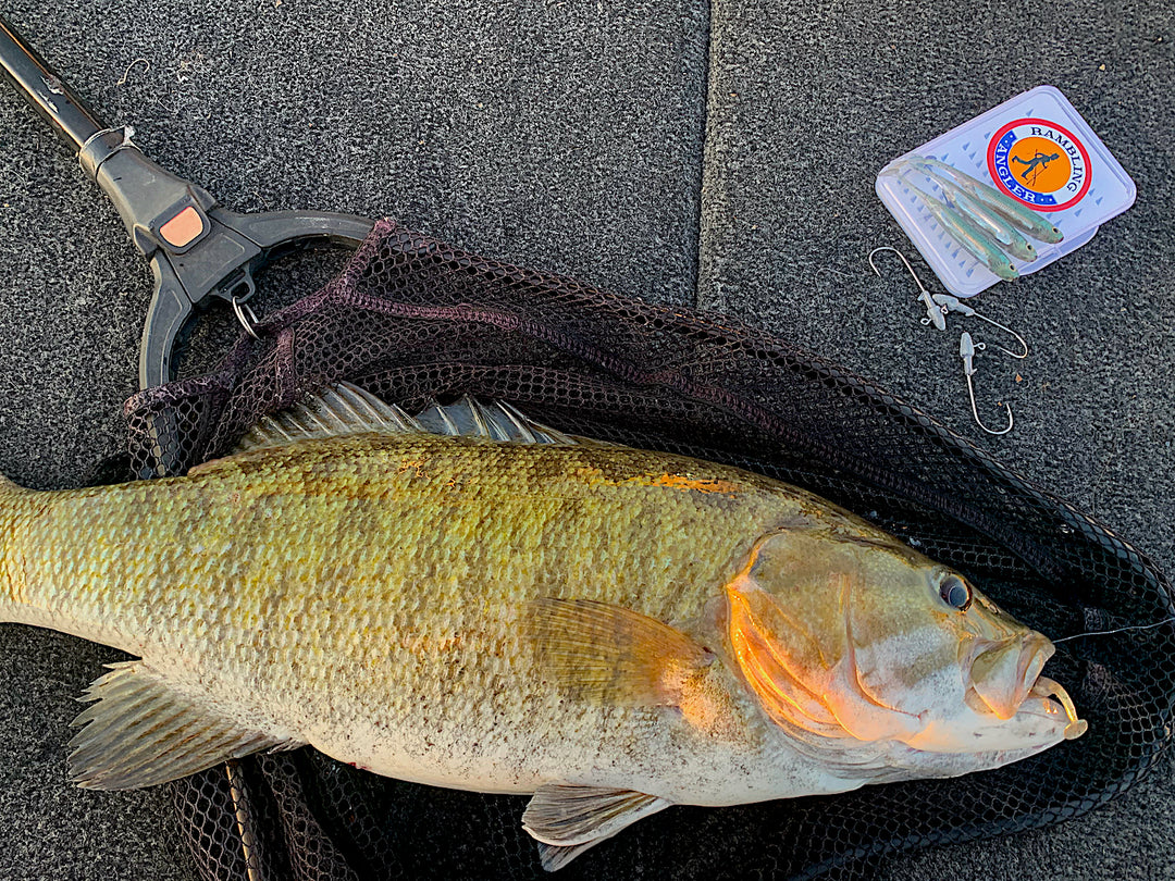 Smallmouth Bass Li'L TUFFY swimbait