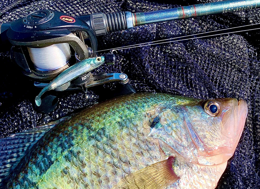 Li'L TUFFY with big crappie